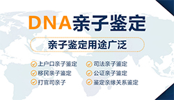 晋城什么地方有正规的亲子鉴定咨询机构，晋城正规的DNA亲子鉴定费用是多少钱