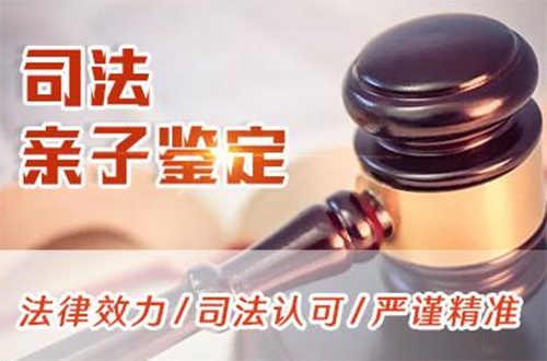 钦州司法亲子鉴定如何办理,钦州司法DNA亲子鉴定电话查询