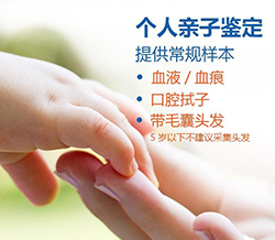 亲子鉴定咨询机构在哪里能做，亲子鉴定费用是多少